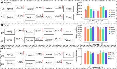 Seasonal variations affect the ecosystem functioning and microbial assembly processes in plantation forest soils